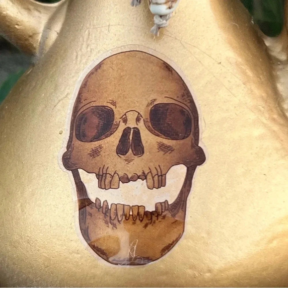 NEW Potion Spell Genie Bottle - Apothecary Skull/Skeleton Jar Halloween Home - Picture 7 of 12